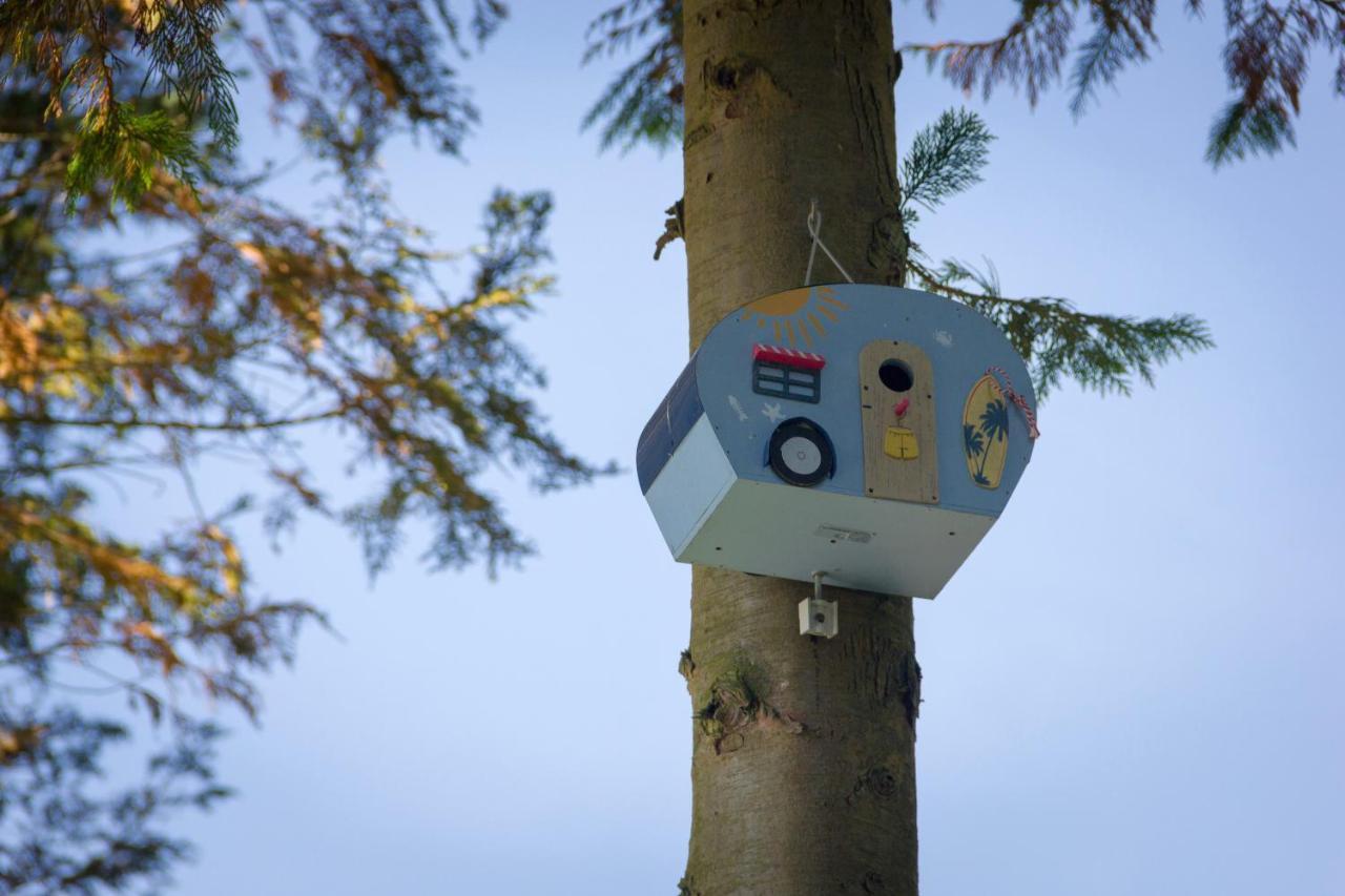 Camping Het Vossenhol Ermelo Exteriör bild